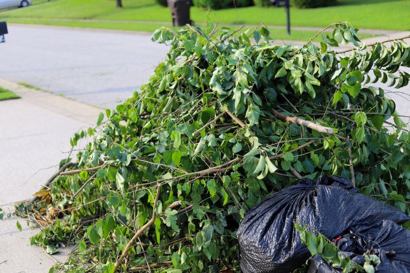 Bush Relocation