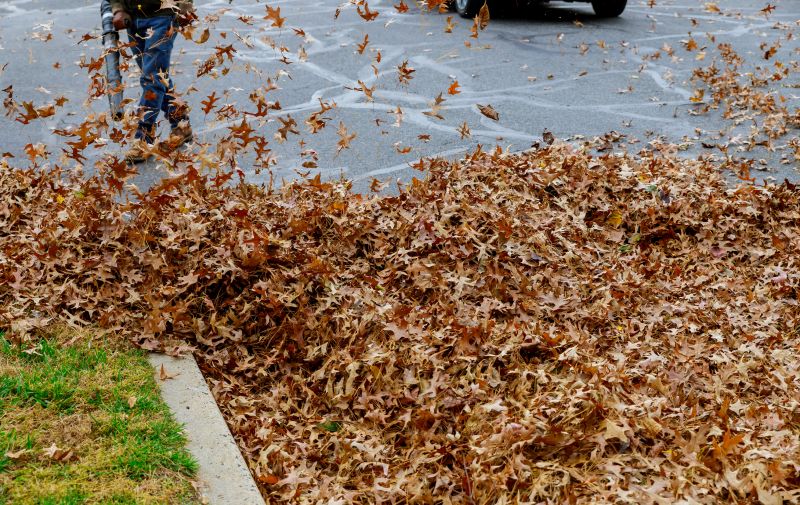 Leaf Mulching Benefits